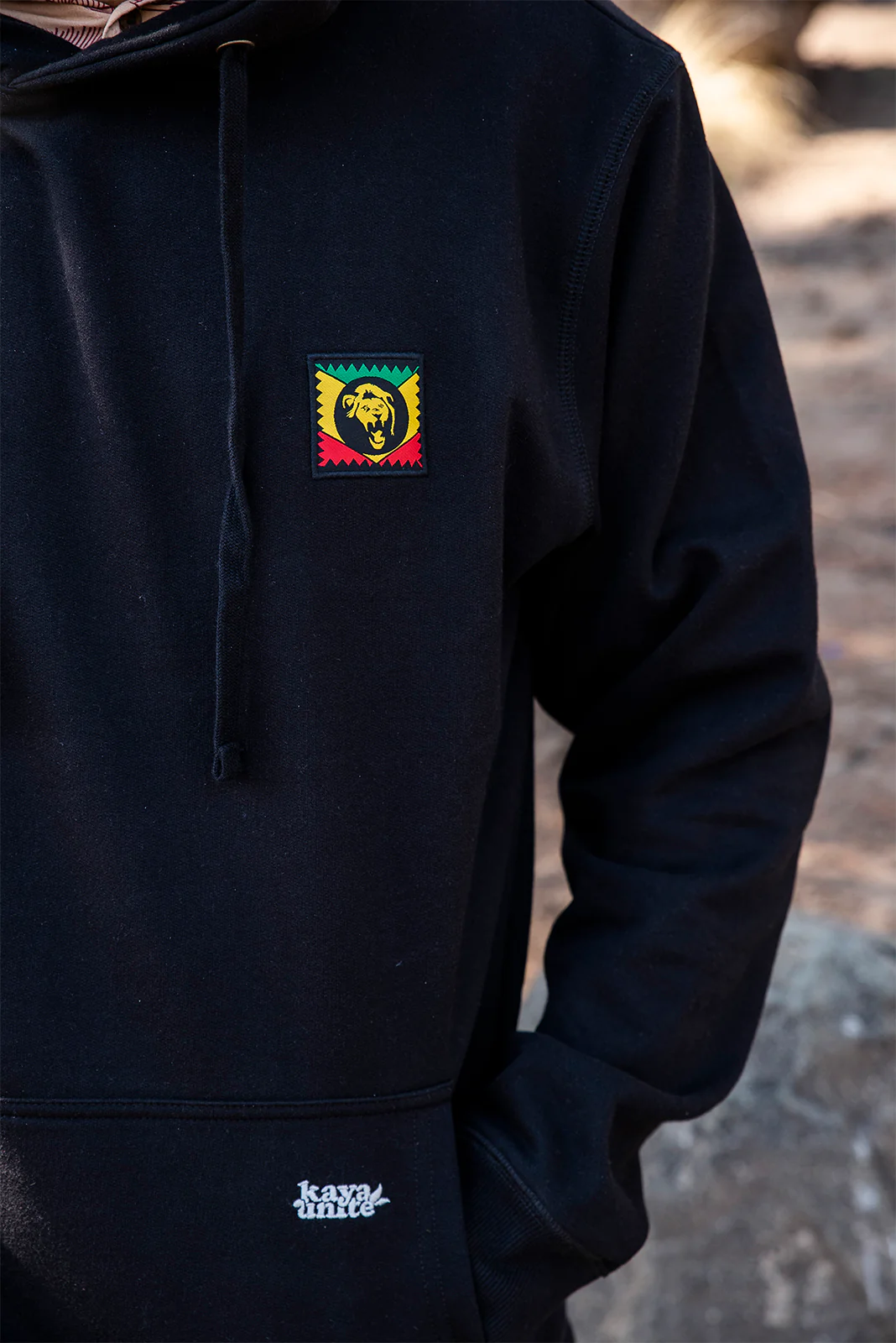 HOODIE LION PATCH - Image 2