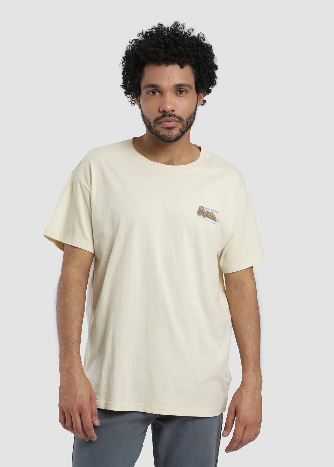 Polera Diseño Algodón Chungungo Hombre - Image 2