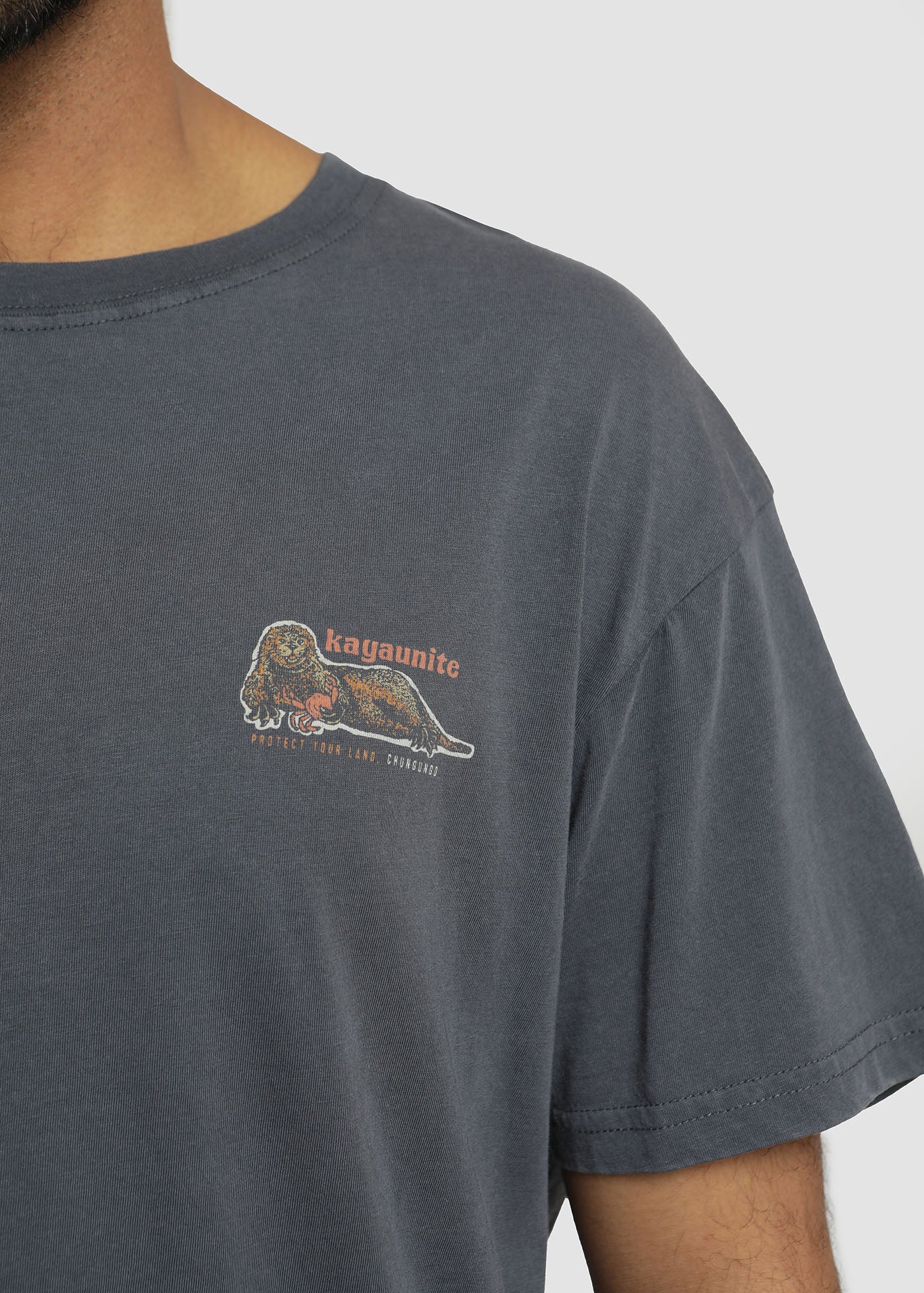 Polera Diseño Algodón Chungungo Hombre - Image 7