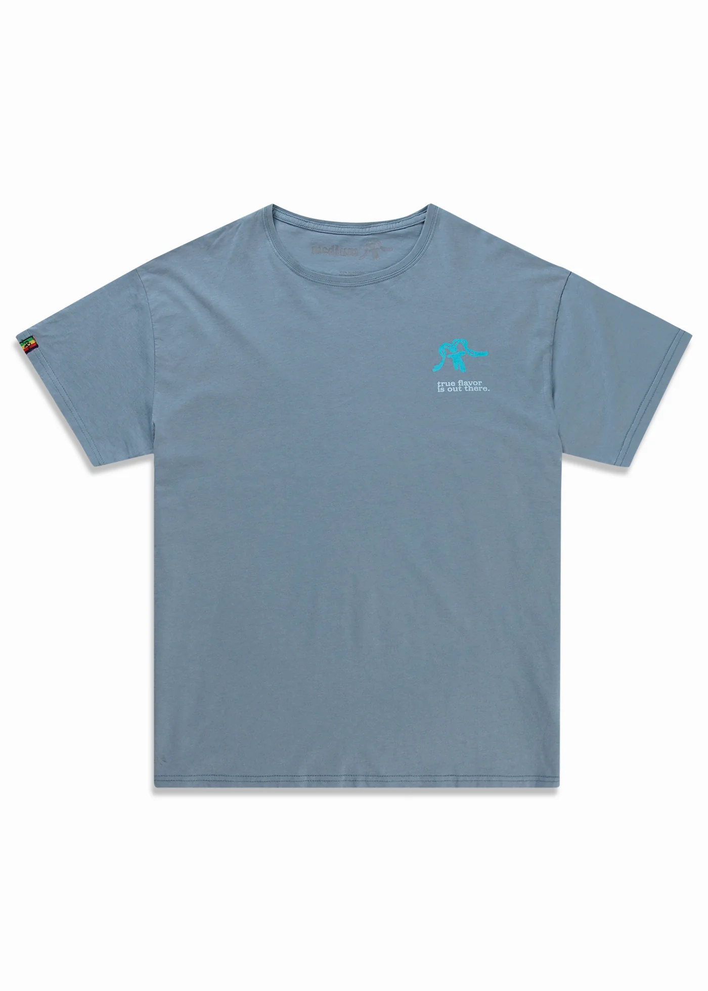 Polera Diseño Algodón TRUE Hombre - Denim - Image 6