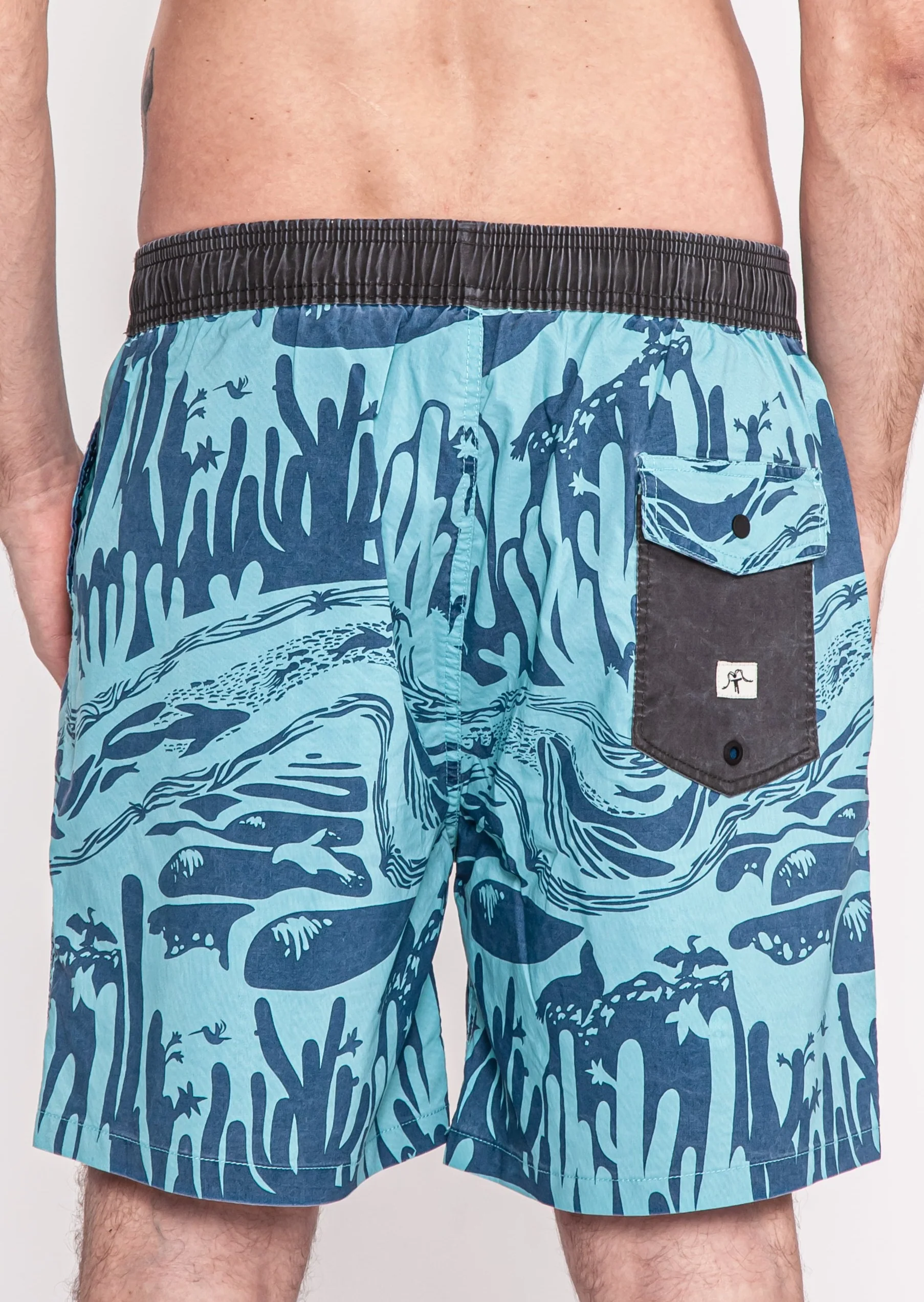 Traje de Baño Short Volley Nylon Morro Hombre - Azul - Image 4